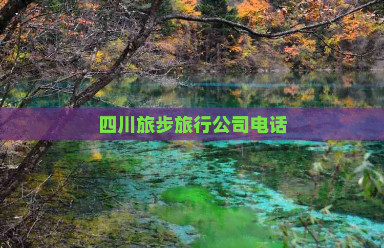 四川旅步旅行公司 旅行社服務網點旅游招徠與聯系方式